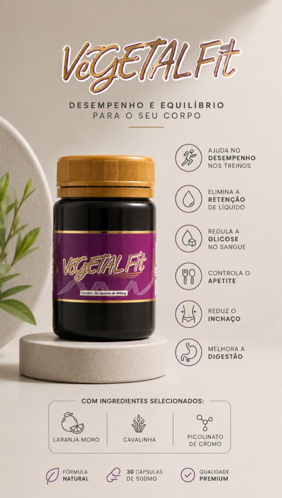 Foto 2 de Vegetal Fit